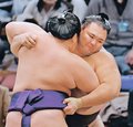 朝乃山７勝目、勝ち越し目前　大相撲九州場所１０日目