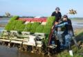 コメ主産地の東北で田植え最盛期