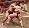 朝乃山 攻め切れず黒星発進　秋場所初日