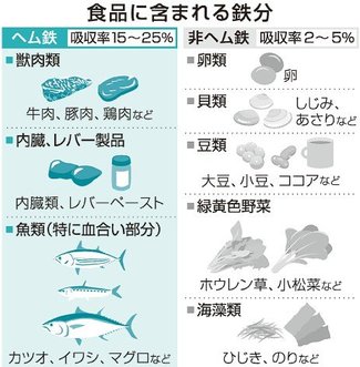 お医者さんに聞いてみよう（３１）<br />貧血で気を付けることは？　佐藤勉さん（富山大付属病院血液内科診療部門長）