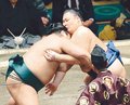 朝乃山 速攻一気の寄り　連勝に自信深める