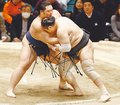 朝乃山３連勝で４勝目　安美錦に寄り切り