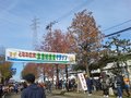 となみ庄川散居村横断マラソン