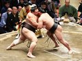 朝乃山５敗目、優勝の可能性が消滅　大相撲初場所１４日目
