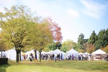 ゼロニイ＋おすすめ！今週末の富山おでかけスポット５選 (10/24up)　