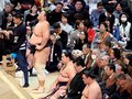 「徐々に、徐々に」　若松親方、朝乃山に期待