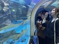 魚津水族館借り切ってウイスキーフェス　水槽のブリを〝さかな〟にほろ酔い気分