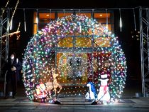 環水公園にクリスマスデコレーション登場　25日まで