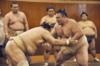 頑張れ朝乃山　三役復帰へ「ここからが勝負」