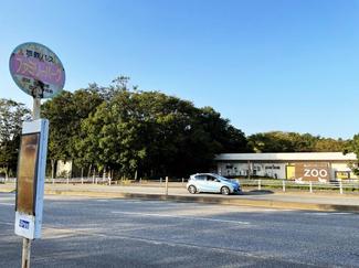 （47）ファミリーパークの近くで、シュールな動物が出没！？その使命とは…？【やちやちが行く！！】