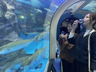 魚津水族館借り切ってウイスキーフェス 水槽のブリを〝さかな〟にほろ酔い気分
