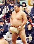 豊昇龍、横綱初Ｖへ闘志