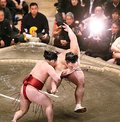 朝乃山５敗目　初場所１１日目