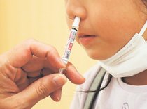 「痛くない」予防接種、広がる　インフル経鼻ワクチン、県内全市町村助成