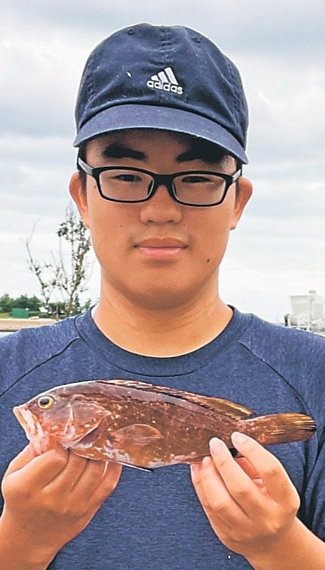 釣果はいけん<br />キジハタ体長２８センチ　関大隼さん（１５）砺波市鷹栖