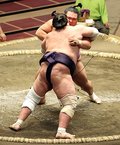 朝乃山、初日から３連敗　秋場所３日目