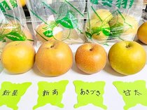 村上梨園直売所で味わう、旬の梨めぐり🤤