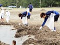 カターレ、八重津浜で清掃奉仕