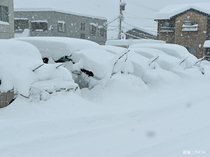 雪と寒さに万全の備えを【コノコトPICK UP】