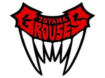 富山グラウジーズの全成績