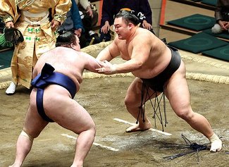 朝乃山 ８連勝で勝ち越し　大相撲初場所８日目