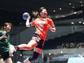 アランマーレ決勝進出ならず、石川に２４－３６　ハンド・リーグＨプレーオフ