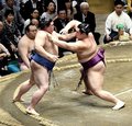朝乃山、正代寄り切り１敗守る　夏場所１０日目
