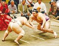 朝乃山が勝ち越し２敗キープ　秋場所１０日目