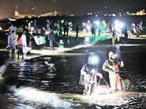 ホタルイカ求め　県内海岸にぎわう