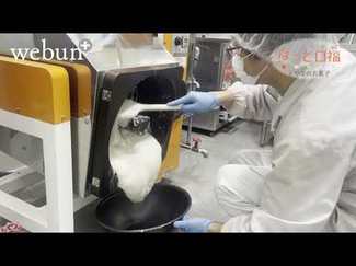 ＜ほっと口福　とやまのお菓子＞３<br />水だんご　藤吉（とうきち）（魚津市）