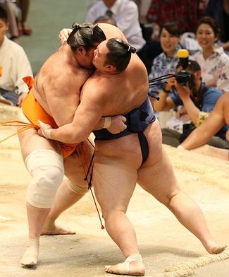 朝乃山、魁聖に敗れる　連勝８でストップ
