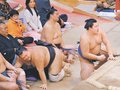 耐えて耐えて連敗回避　朝乃山７勝目、２桁も視野