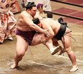 朝乃山、照強に不覚　７月場所１４日目