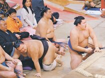 耐えて耐えて連敗回避　朝乃山７勝目、２桁も視野