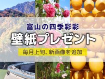 壁紙プレゼント(2025年10月)「黒部ダムの紅葉」「秋バラ」「あんぽ柿」