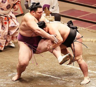 朝乃山、照強に不覚　７月場所１４日目