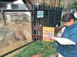 ジュニア特報<br />写生に出かけよう　五感使って生き生き<ruby>表<rp>（</rp><rt>ひょう</rt><rp>）</rp></ruby><ruby>現<rp>（</rp><rt>げん</rt><rp>）</rp></ruby>