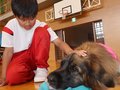 なでて抱っこ、気持ちいい　射水・下村小児童、犬と触れ合い