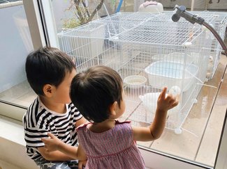 アヒルに出会えるおしゃれなカフェ「moohno」【親子でGO！オイシイおでかけ⑦】