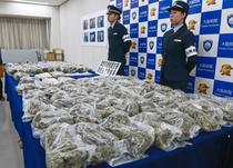 乾燥大麻３１キロ密輸疑いで逮捕