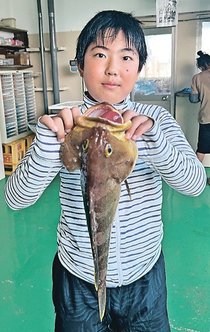 釣果はいけん<br />アオハタ体長４５センチ　樽井大和さん（１２）朝日町桜町