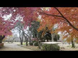 ＜とやまの紅葉２０２４＞高岡古城公園<br />堀端、移ろう季節