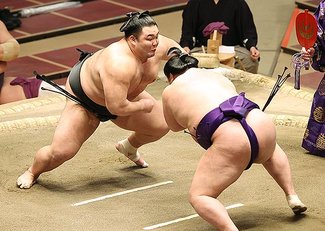 朝乃山、突き落としで１０勝目　初場所１４日目