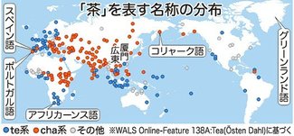 ＜言の葉のこと　言語学者・呉人惠＞１４<br />ｃｈａ系かｔｅ系か 茶の言語地図／輸送ルートで分布に違い