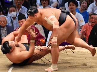 再出場３連勝の朝乃山、大関復帰の道は