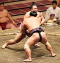 朝乃山３連勝　秋場所６日目、妙義龍を寄り切り