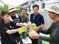 里山の幸、新メニューに　氷見の民宿・旅館経営者、メロンやハーブの農園を視察