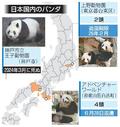 国内パンダ「ゼロ」現実味