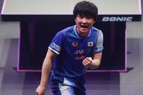 卓球、張本智らが２回戦へ