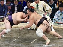 朝乃山圧勝、９勝目　大相撲九州場所１２日目